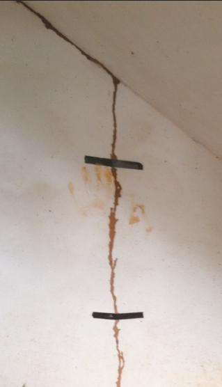 白蚁纷飞期怎么预防,白蚁常见的防治方法