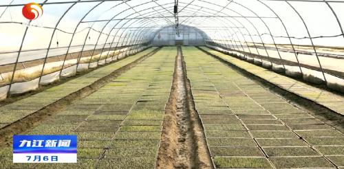 永修发展定位,永修加快城市建设