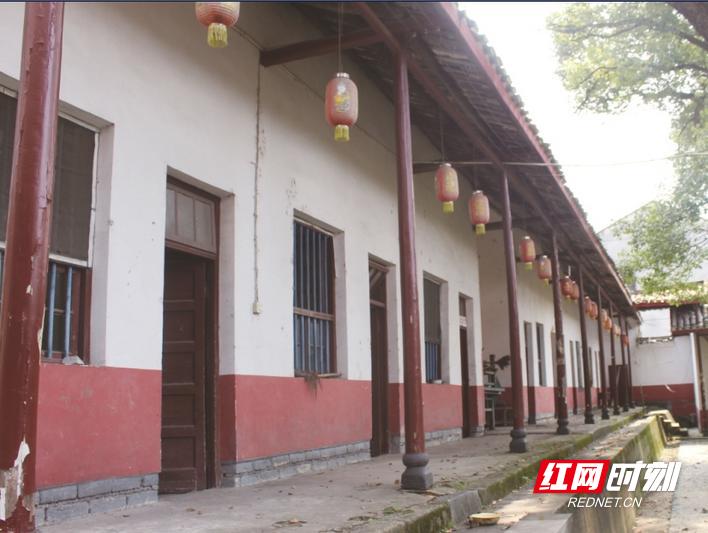 白蚁来袭莫慌这份防蚁攻略请收好,关于如何注意防白蚁的事项