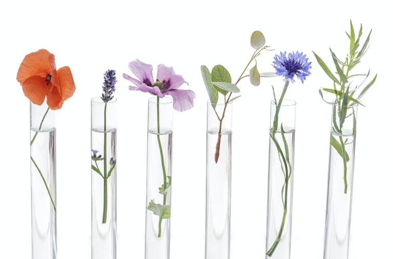 选对象，气味比颜值靠谱多了