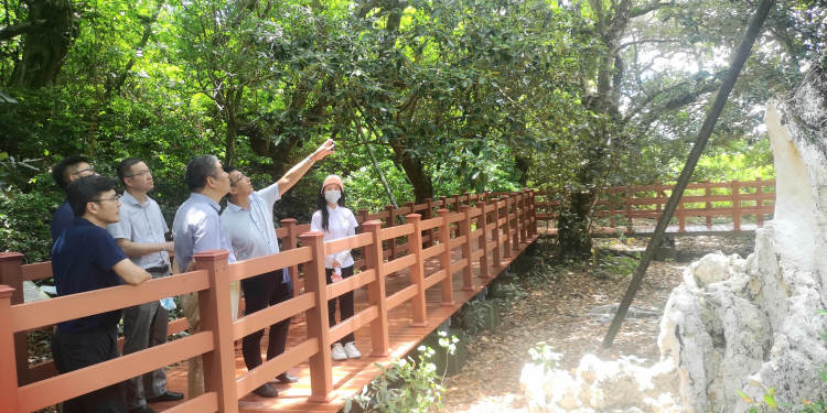 上海细胞治疗集团项目招商,上海细胞治疗集团全球排名