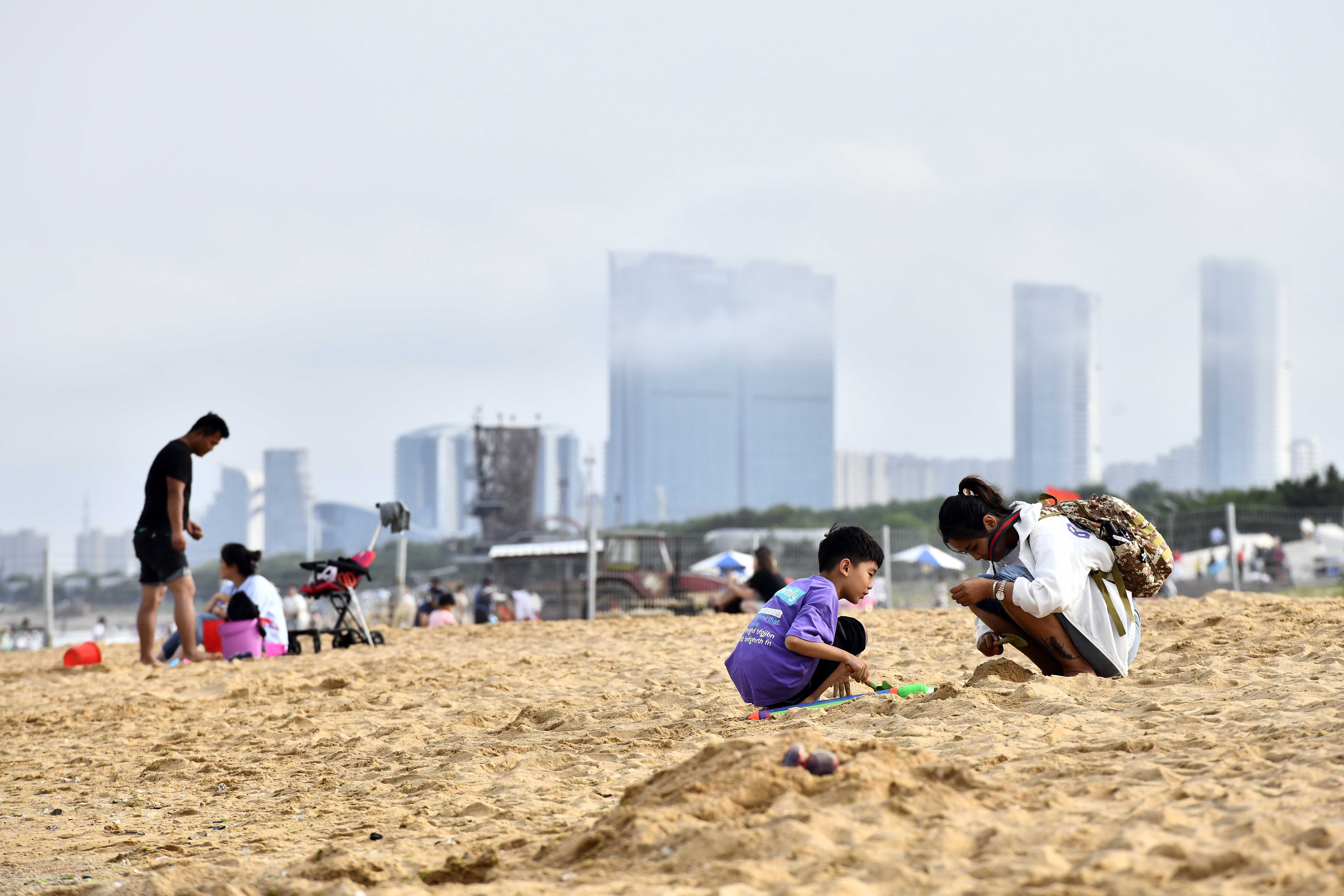 日照蓝丝带,山东日照带子