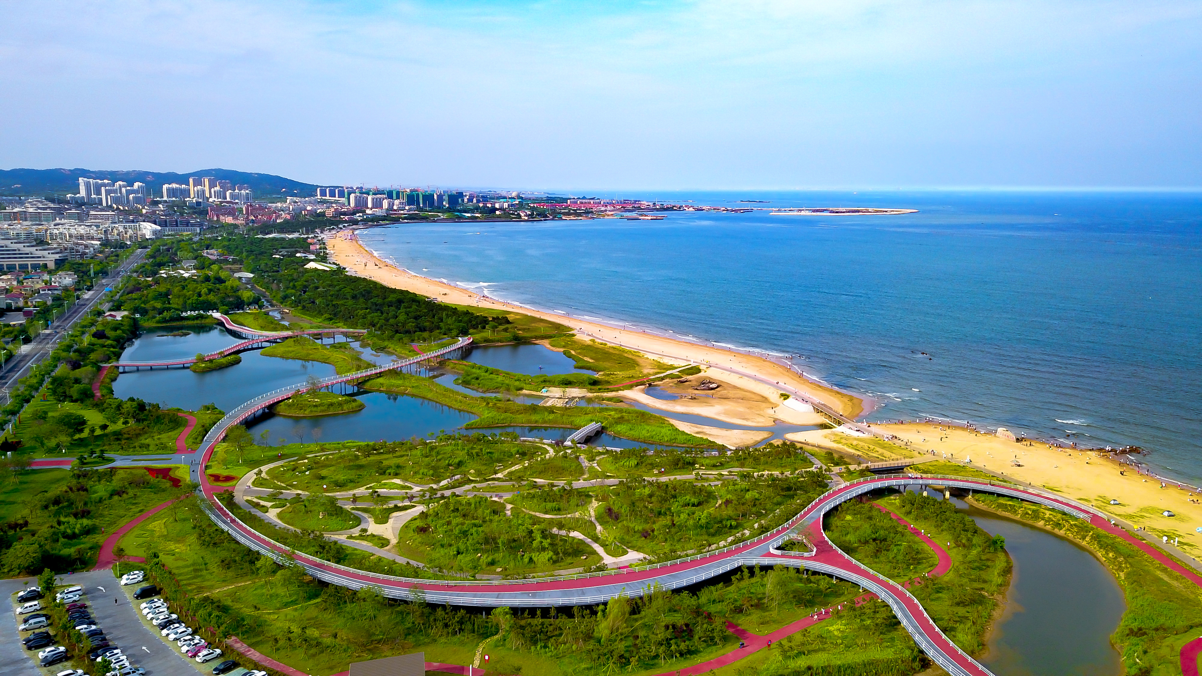 日照蓝丝带,山东日照带子