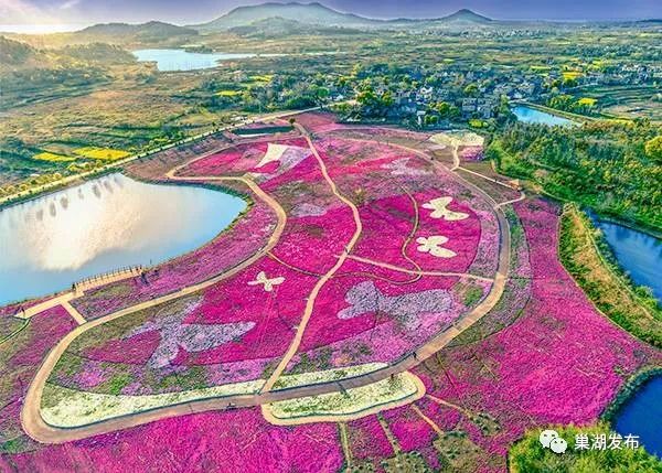 合肥蜀山区十大网红打卡活动,合肥十大网红打卡地风景现场直播