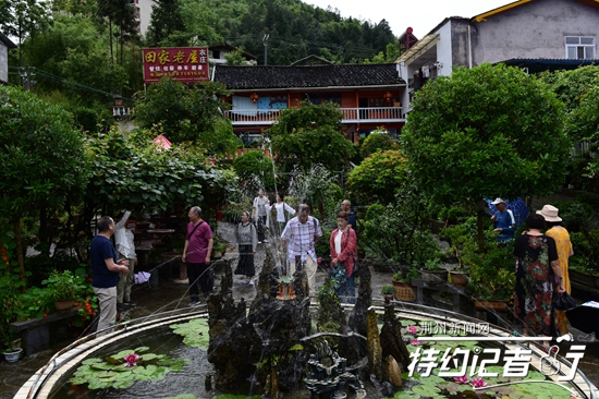 大山里的根雕艺术家,根雕艺术家展示原创根雕作品