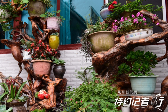 大山里的根雕艺术家,根雕艺术家展示原创根雕作品