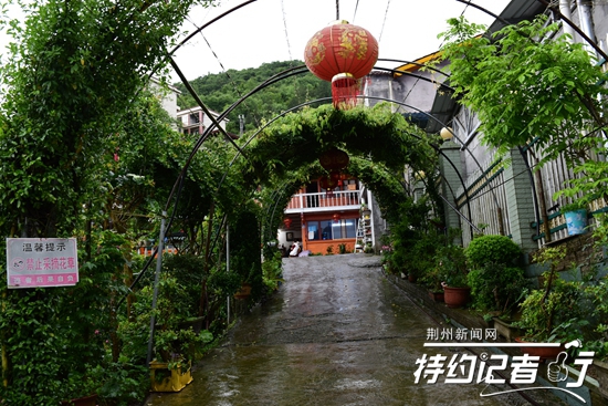 大山里的根雕艺术家,根雕艺术家展示原创根雕作品