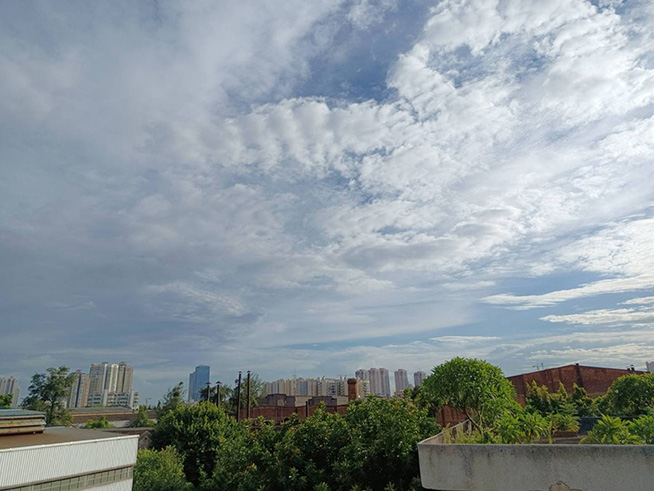 荣耀50se一亿像素拍照测评,荣耀50se主摄拍照怎么样