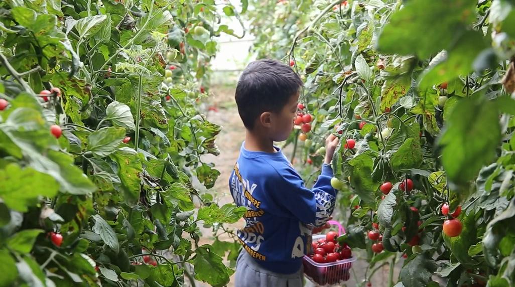 郓城县塌陷区,郓城县郭屯镇煤矿塌陷区治理面积