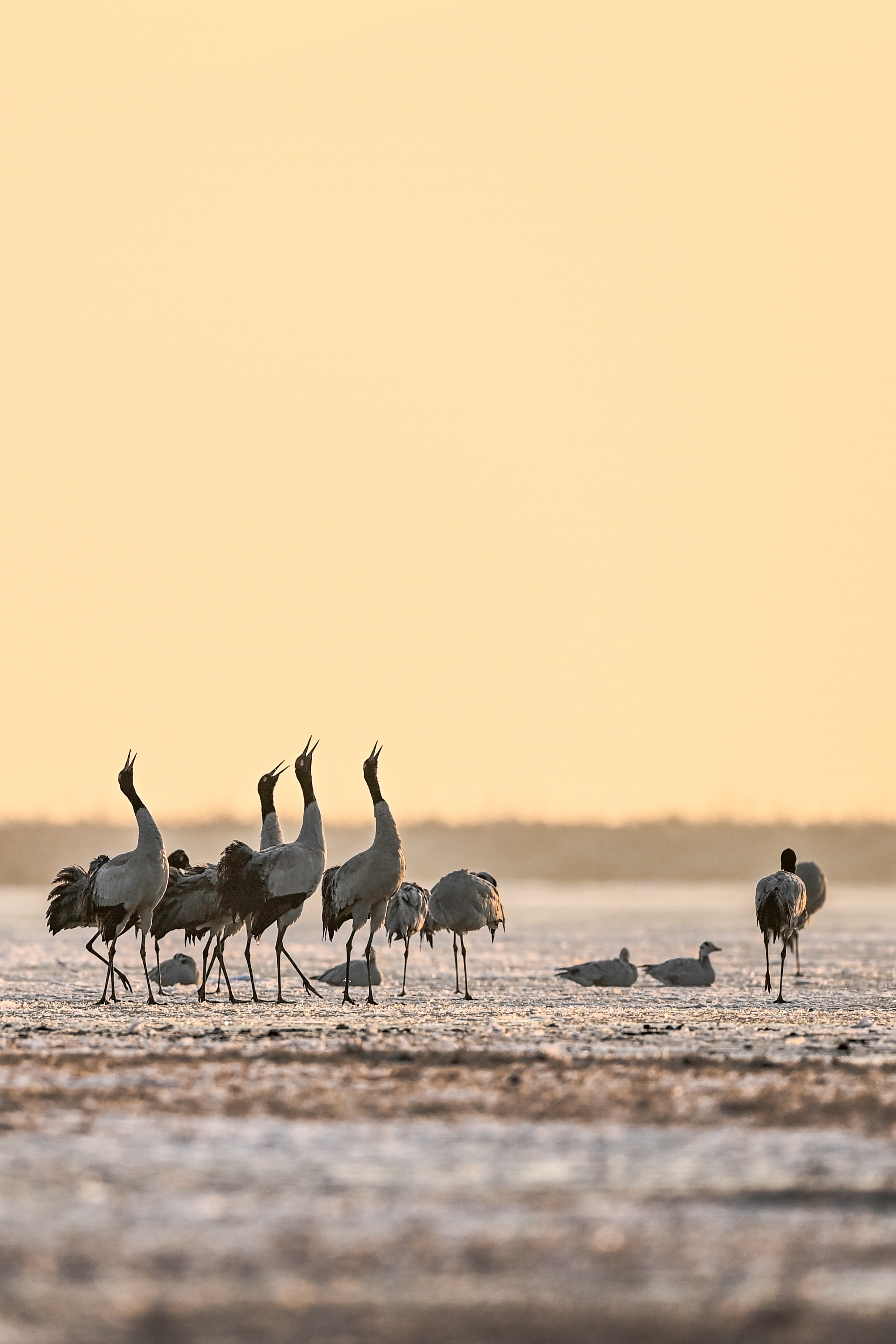 贵州全国生态文明先行示范区,贵州生态文明建设成功案例