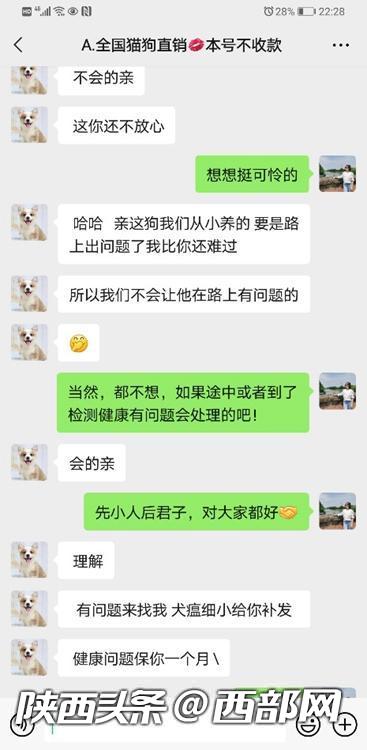 网上宠物狗销售陷阱,网上卖宠物狗骗局