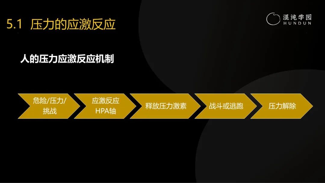 清华大学彭凯平教授:采访了30多位中国卓越企业家,发现成事的秘密难而简单