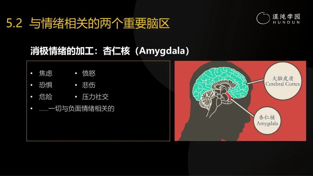清华大学彭凯平教授:采访了30多位中国卓越企业家,发现成事的秘密难而简单
