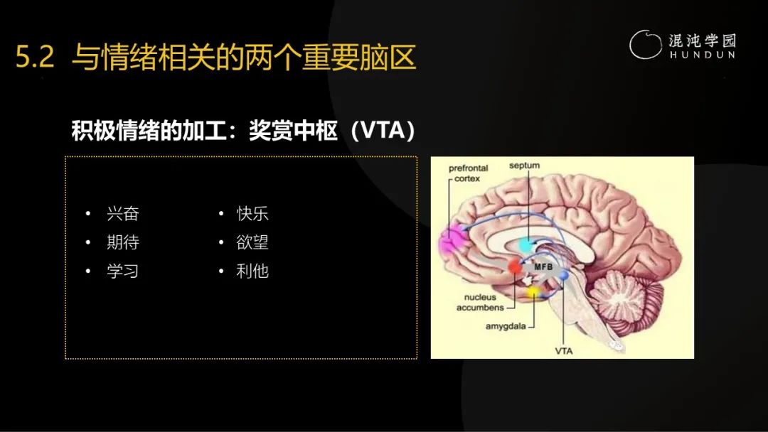 清华大学彭凯平教授:采访了30多位中国卓越企业家,发现成事的秘密难而简单