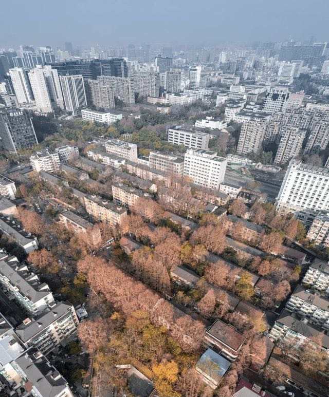 西溪路56号在哪里,西溪路56号