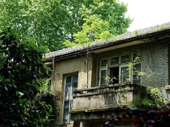 西溪路56号在哪里,西溪路56号