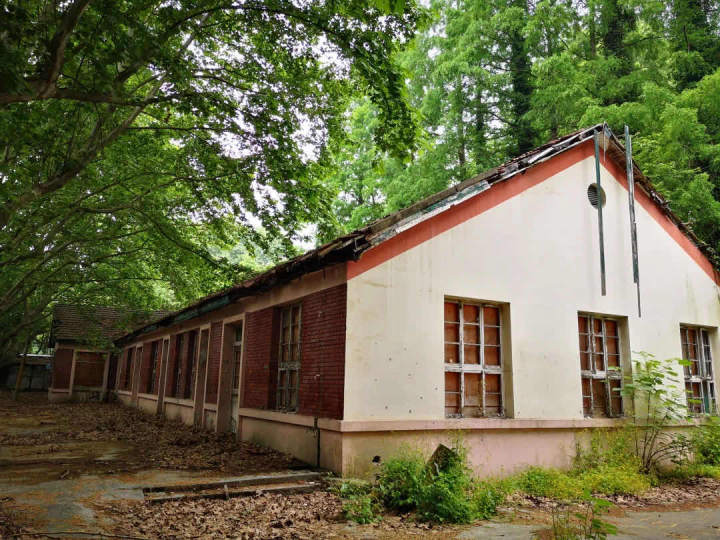 西溪路56号在哪里,西溪路56号