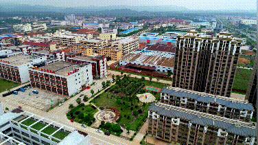 泰和被誉为乌鸡之乡,江西泰和乌鸡的故乡