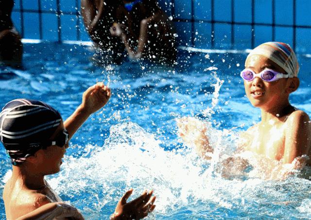 泰和被誉为乌鸡之乡,江西泰和乌鸡的故乡