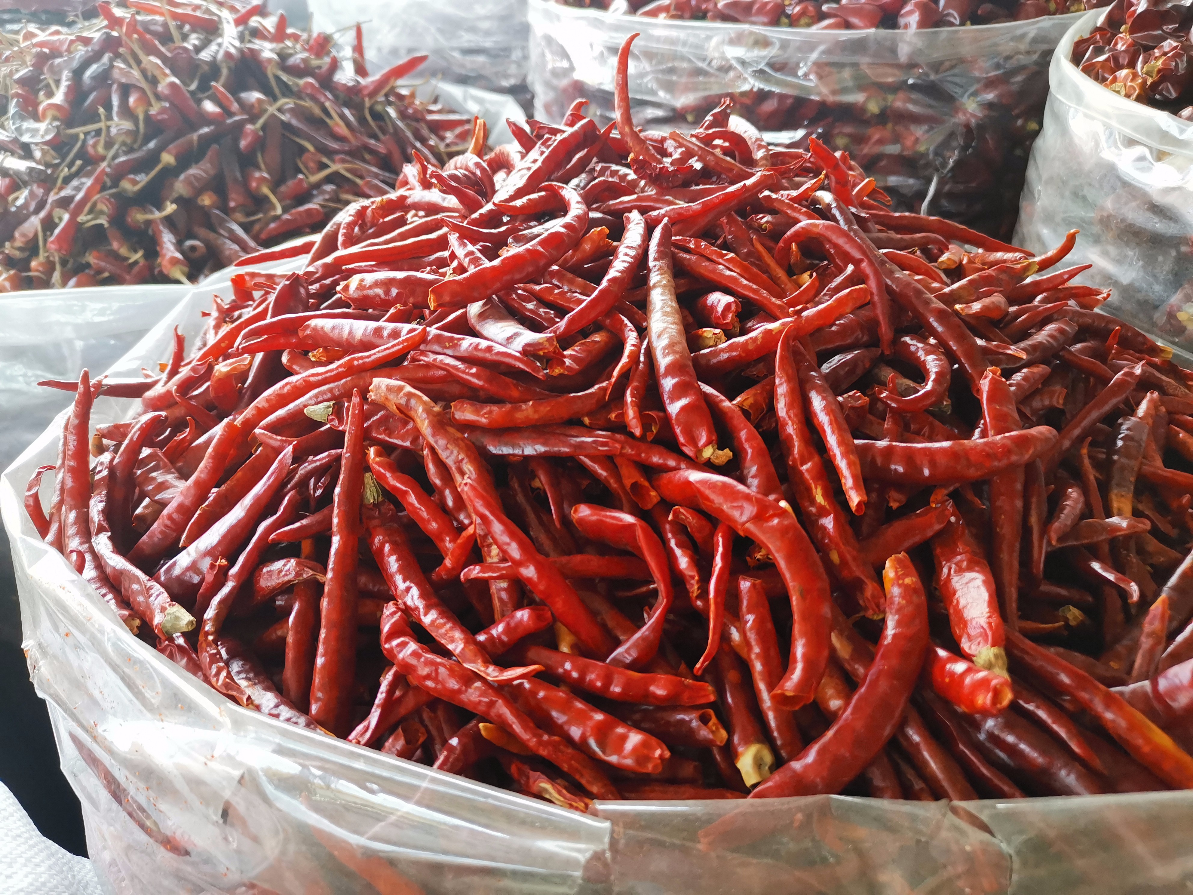 小菜市·大乾坤③“辣椒西施”的独门秘籍来咯