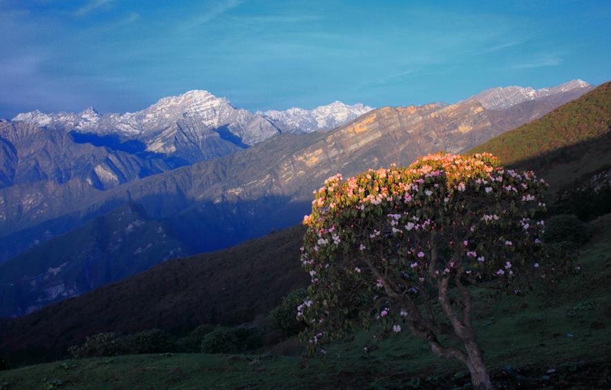 平武有“六度”,专治各种不舒服