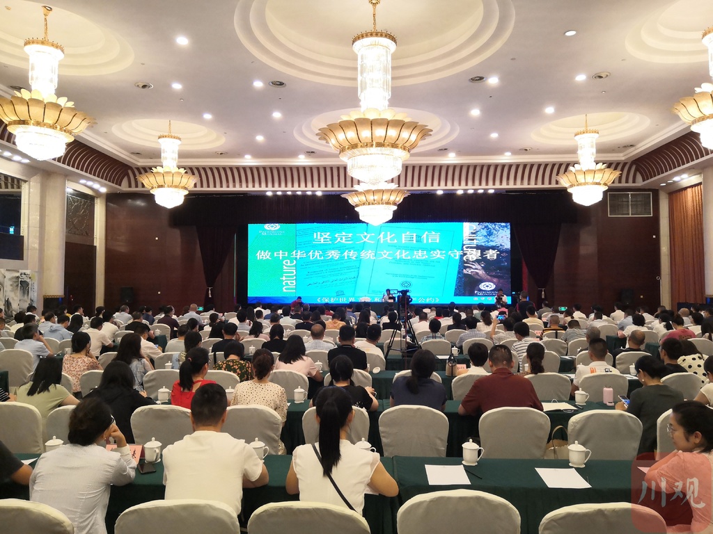 人物特写不露脸视频,单霁翔简介