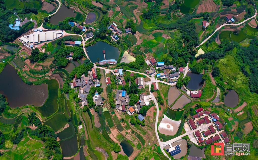 乡村振兴沿滩区,紧握接力棒奋进新征程