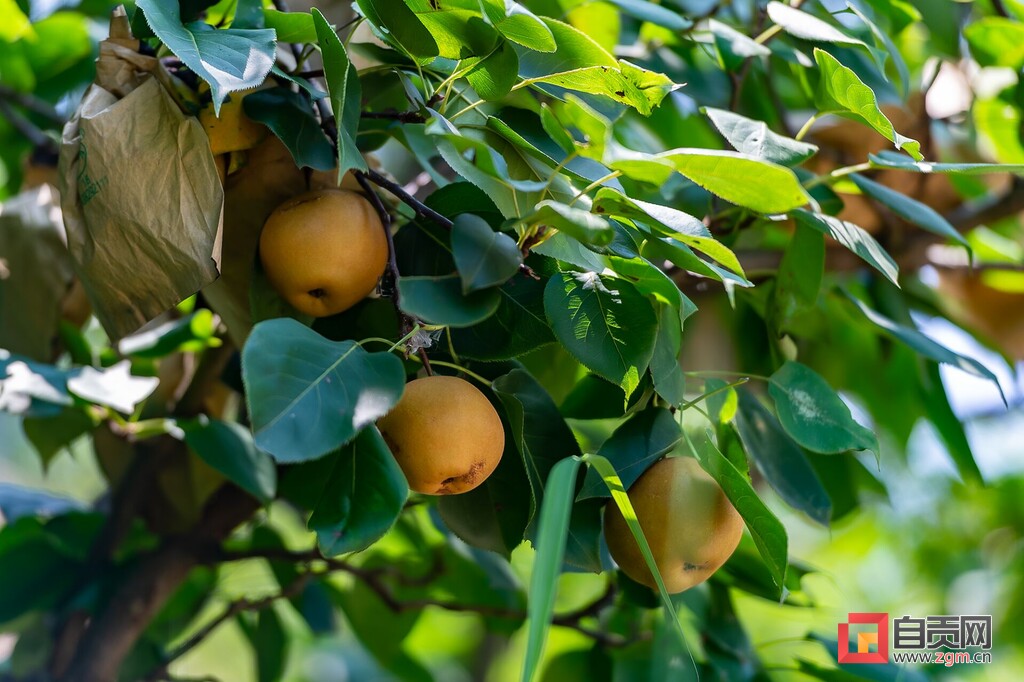 乡村振兴沿滩区,紧握接力棒奋进新征程