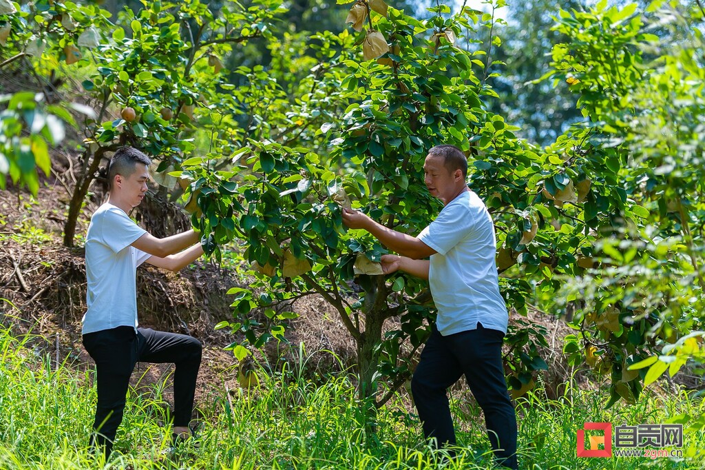 乡村振兴沿滩区,紧握接力棒奋进新征程