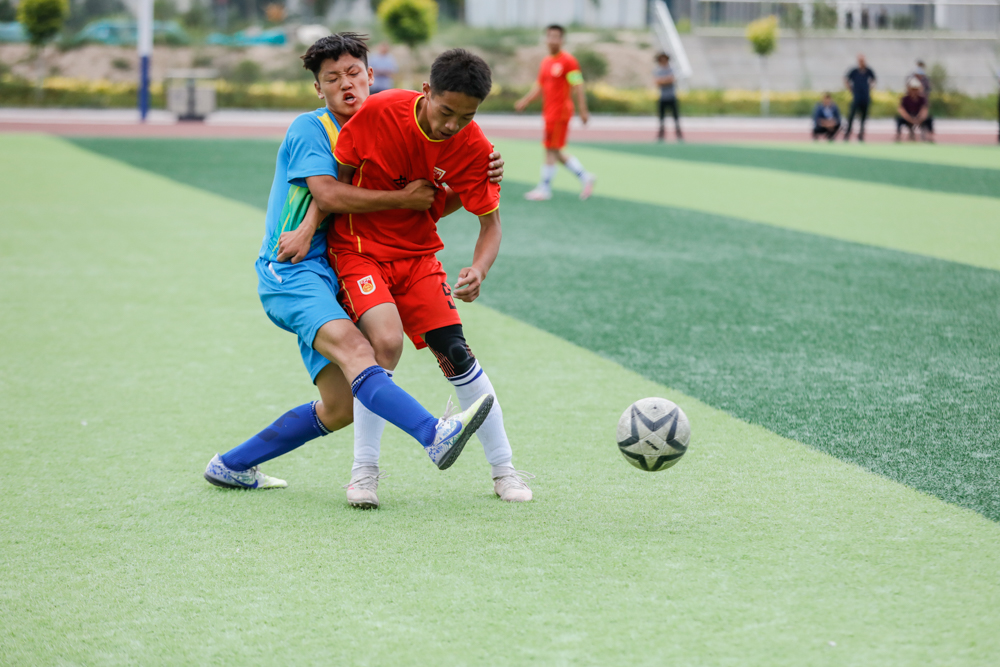 足球看台上的感人时刻,足球场上的感动瞬间文章