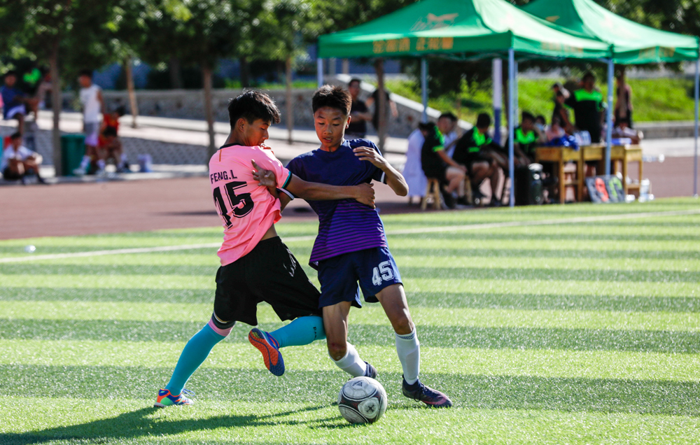 足球看台上的感人时刻,足球场上的感动瞬间文章