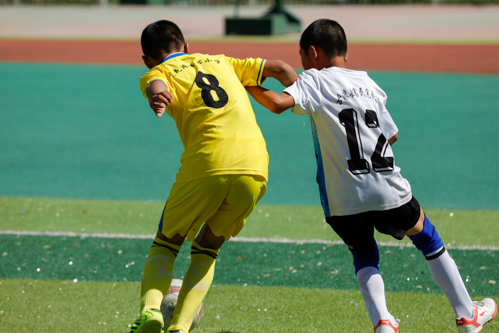 足球看台上的感人时刻,足球场上的感动瞬间文章