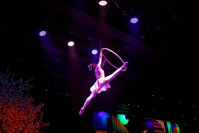 暴走魔都视频,暴走魔都