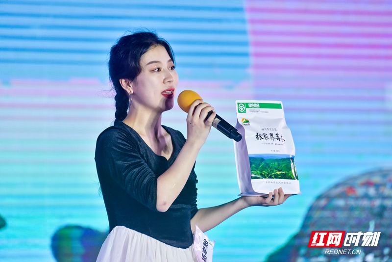 寻找最美莓茶菇凉,湖南张家界莓茶最美姑娘