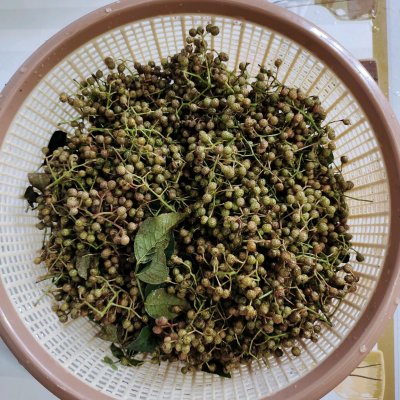 大量鲜花椒的保存方法视频,干花椒如何长期保存不变味