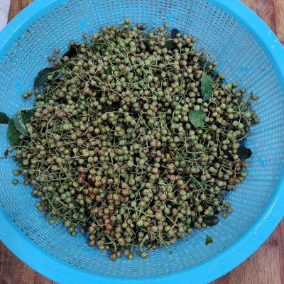 大量鲜花椒的保存方法视频,干花椒如何长期保存不变味