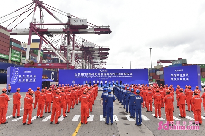 青岛港增美国西海岸快线,山东港口青岛港航线增至223条