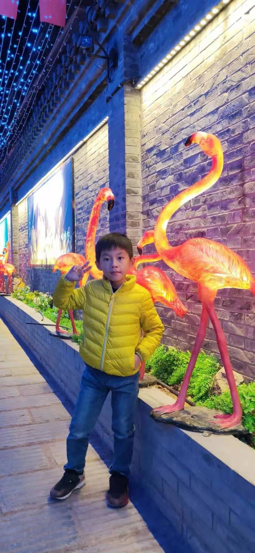 莱山区实验小学宫御航:要当莫言一样的大作家(附视频)