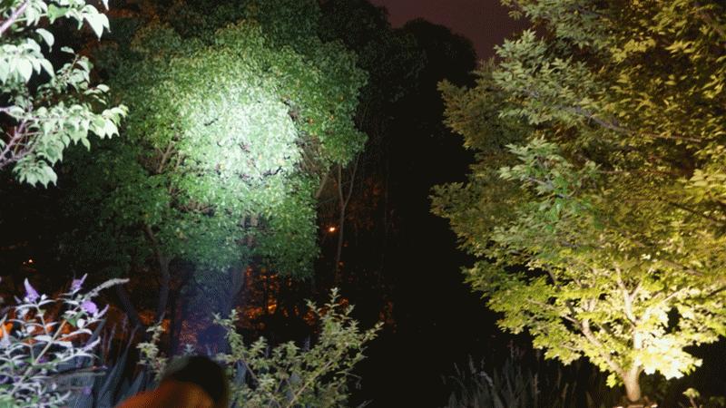 纳拓户外强光手电价格,纳拓户外强光手电筒耐用程度