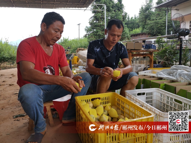 百姓故事｜奋斗在幸福路上——汝城县果农李幸福、李文权父子与“幸福农场”的故事