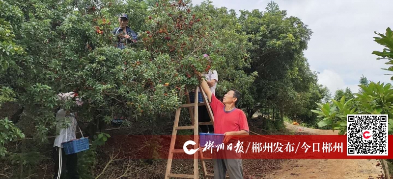 百姓故事｜奋斗在幸福路上——汝城县果农李幸福、李文权父子与“幸福农场”的故事