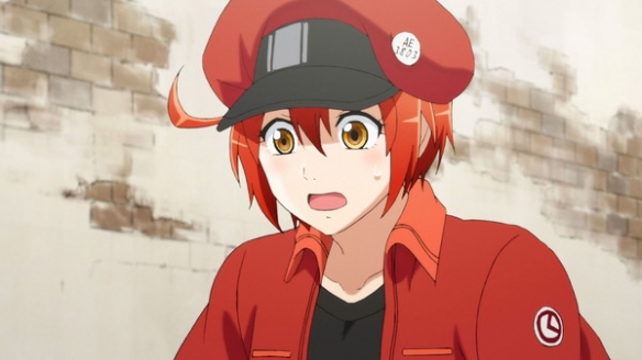 悠木碧在2021年配音的动漫,悠木碧所有配音动漫