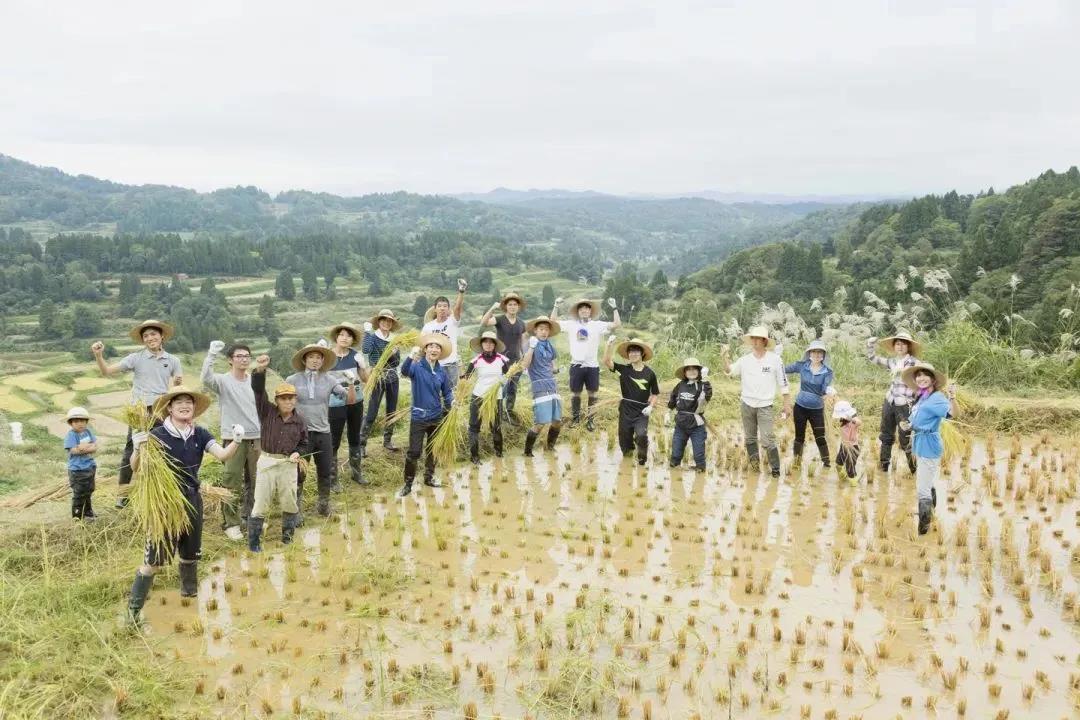 公共艺术的核心观念,哪些算是公共艺术