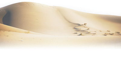 坚持用先进人物的典型事迹激励,人格力量与精神力量