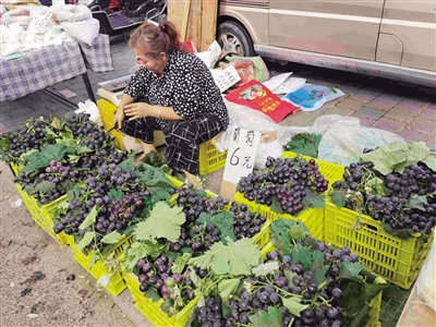 都说自己卖的是户太八号咋辨别？果农：现在卖的应是“新花王”