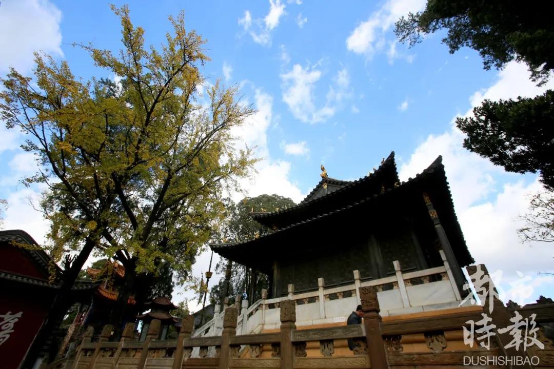 国庆亲子旅游景点推荐昆明,国庆旅游景点推荐昆明周边