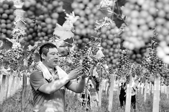 外眼看中国,央媒记者看山东