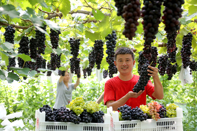 外眼看中国,央媒记者看山东