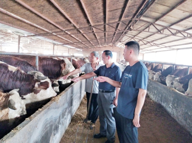 外眼看中国,央媒记者看山东