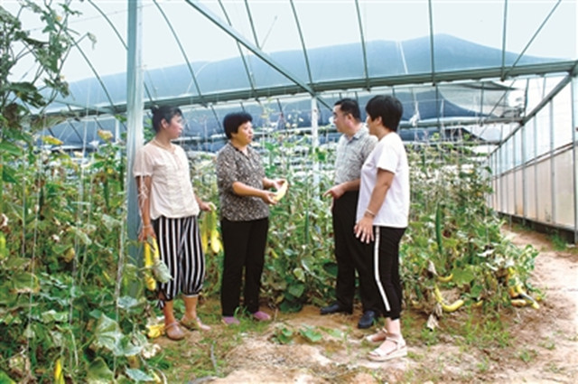 外眼看中国,央媒记者看山东